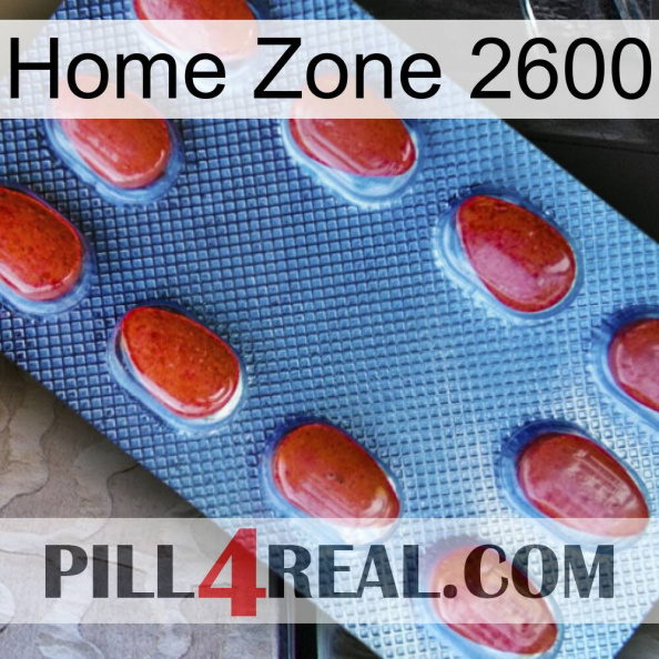 Home Zone 2600 06.jpg